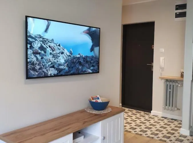 Apartament Downtown Apartment